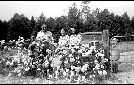 Desera's gravesite
