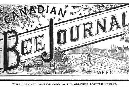 liberalbeejournal