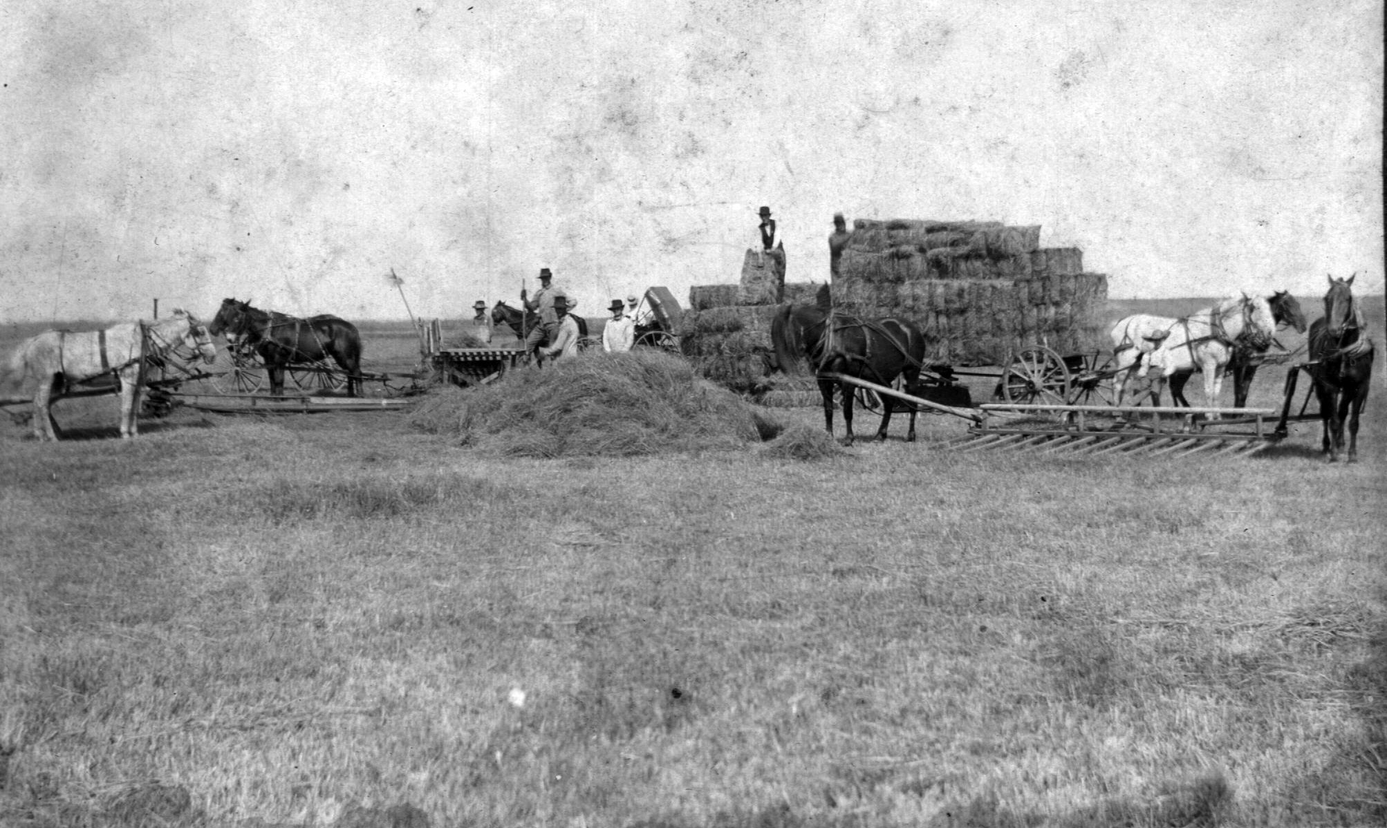 Haying on the Ray Noyes Farm in Liberal, Missouri