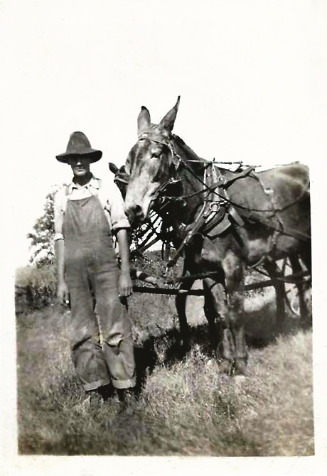 Herman Jones with Mule Team